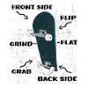 Skateboard Features - Skateboarding Skateboarder