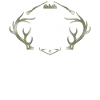 Buck Deer Hunting Hunter