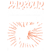 Parkour Freerunning Traceur