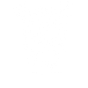 Spirit Animal - Rhino