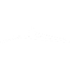 Aviron hommes rameurs femmes