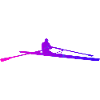 Aviron féminin Rameurs masculins