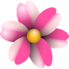 pink flower