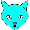 Chat Turquoise