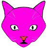 Cat Pink