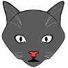 Cat Black