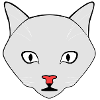 Chat Blanc