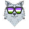 Genderqueer Lgbt Cat Siberian Cat