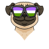 Genderqueer Lgbt Dog Pug