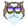 Genderqueer Chat Lgbt Chat Persan