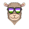 Genderqueer Lama Alpaca