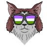 Genderqueer Lgbt Cat Maine Coon