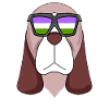 Genderqueer Chien Lgbt Basset Hound