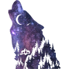 Wolf silhouette Galaxy