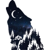 Wolf silhouette Galaxy