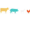 Vegan Animals