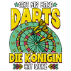 Darts Dartspieler