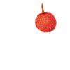 Lychee