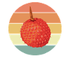 Lychee