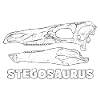 Stegosaurus Fossil Skull