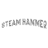 Steam hammer