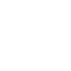 Zodiac sign Gemini