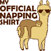 My official napping shirt