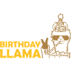 Cool Birthday Llama Sunglasses