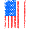 Maine Usa flag gift