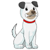 Chien avec des os
