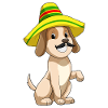 Dog Sombrero