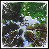 Infinity-Wald