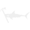 Hammer Shark