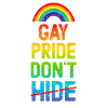 Gay Pride Don't Hide