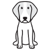 Brittany Dog Cartoon Kawaii Illustration