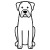 Boerboel Dog Cartoon Kawaii Illustration