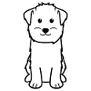 Bolognese Dog Cartoon Kawaii Illustration