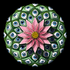 Psychedelischer Peyote-Kaktus