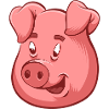 Pig Illustration