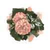 Rose 1