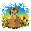 Hund