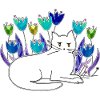 Chat