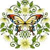 Schmetterling