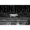 KeinTouri - Dog Edition
