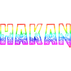 hakan rs rainbow