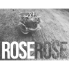 ROSE_CLEAR