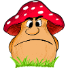 Angry Mushroom