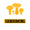 Mushroom picker saying