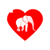 Regalo elefante per Proboscide Africa Wilderness Zoo