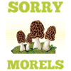 Morchel Sammler Pilzsammler